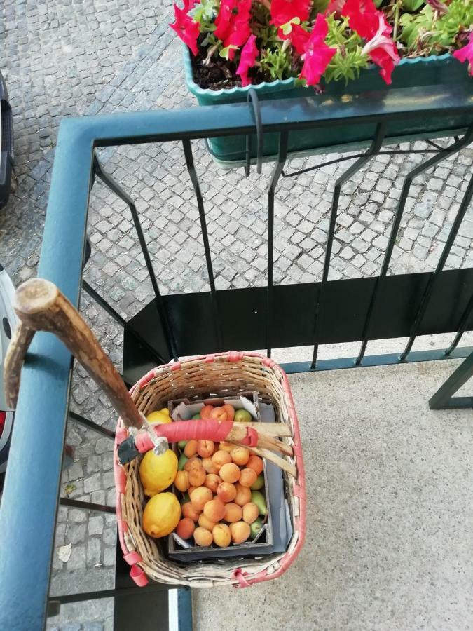 Alcongosta Casa Largo Da Praca 빌라 외부 사진